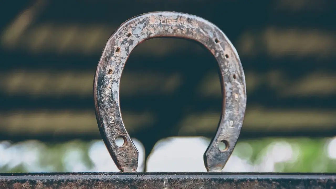 Zardzewiałe hacele w podkowie, symbol szczęścia i dawnych czasów, stoją na metalowej belce.