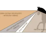 Ilustracja pokazuje, jak widzi koń: obszar wyraźnego obrazu, martwe pole i obszary niewyraźne.