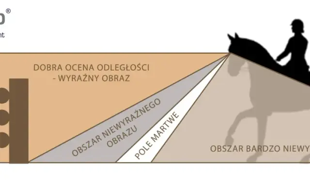 Ilustracja pokazuje, jak widzi koń: obszar wyraźnego obrazu, martwe pole i obszary niewyraźne.