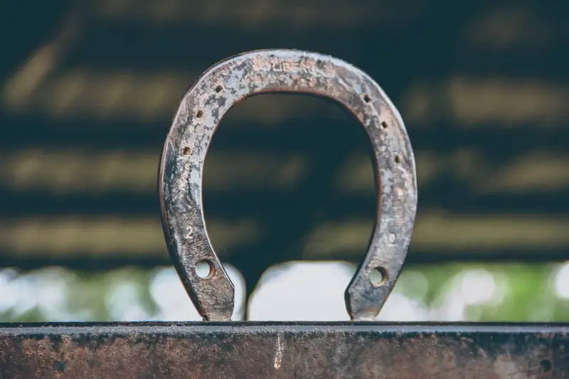 Zardzewiałe hacele w podkowie, symbol szczęścia i dawnych czasów, stoją na metalowej belce.